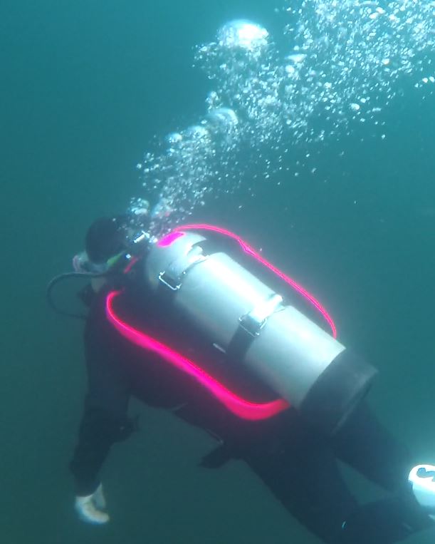A real photo of Dive Rite Travel EXP Wing  by The Pink is VERY pink (1)