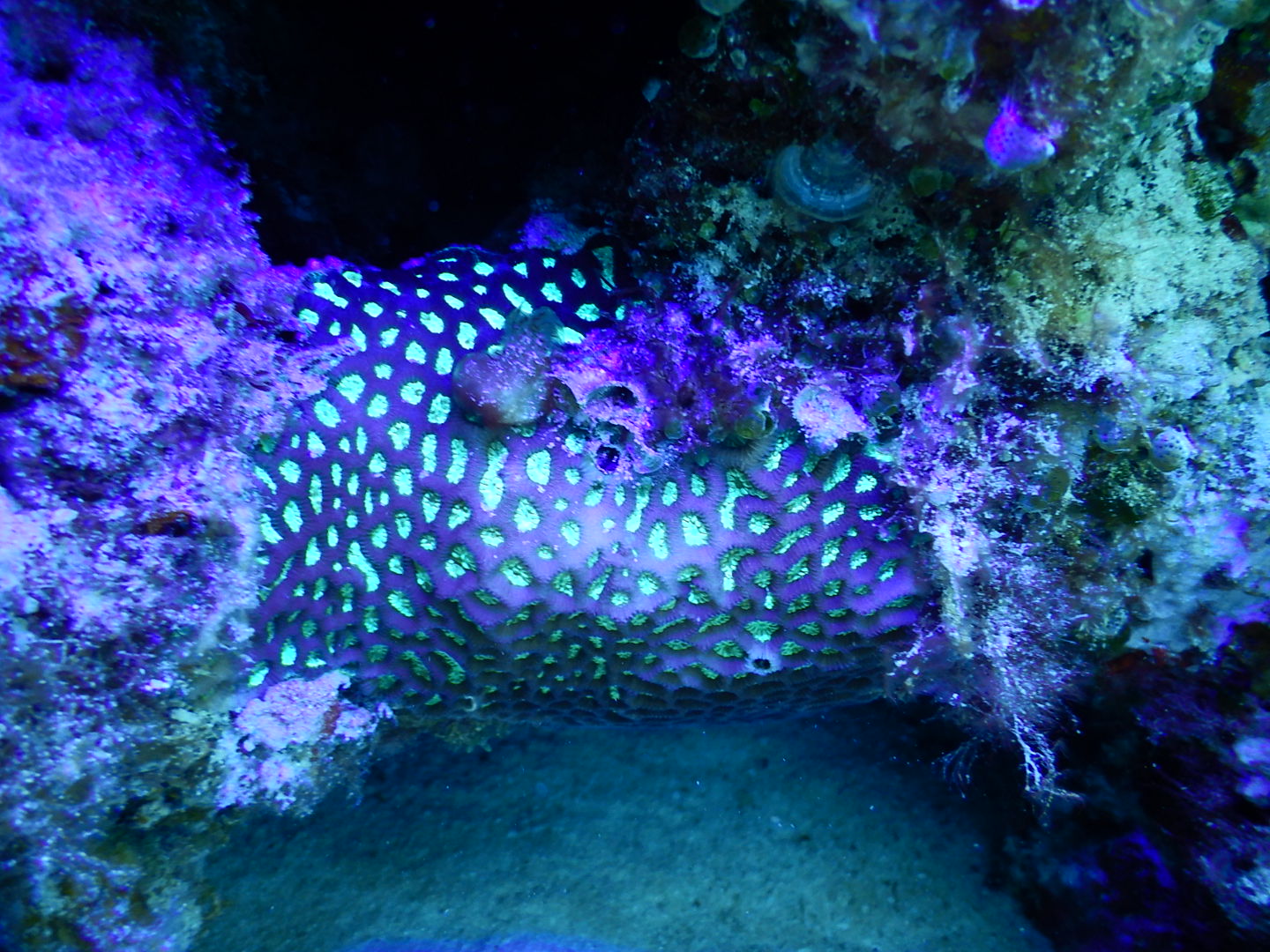 A real photo of Kraken Hydra 4000 Wide RGB UV by Junn (2)