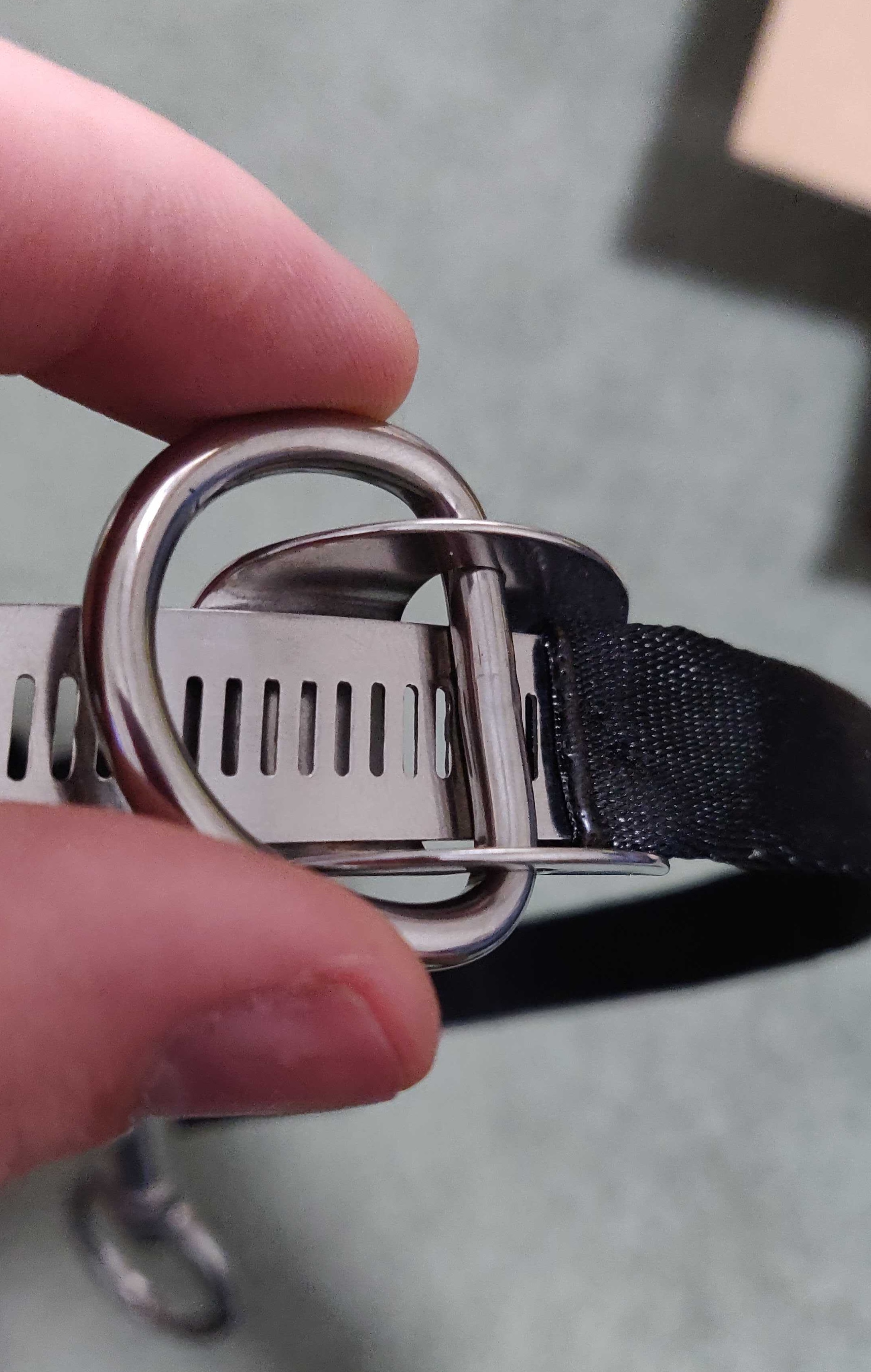 A real photo of DGX S/S D-Ring Holder by Addison (1)