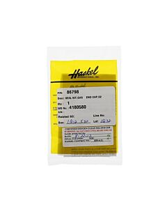 Haskel Gas End Check Valve Section Seal Kit