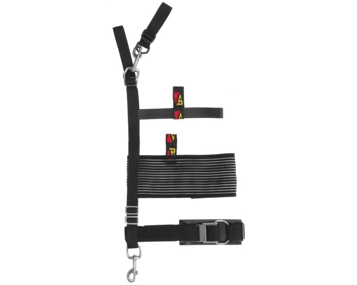 Travel/Sidemount Stage Strap for Large Cylinders