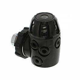 pds-0110-010_2.jpg