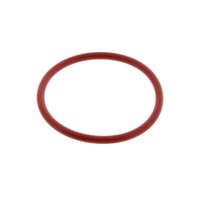 Dive Rite Slimline Canister Replacement O-Ring