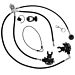 XR Streamlined OW Reg Package w/ Braided Flex Hoses and Black Gauge Thin PSI SPG