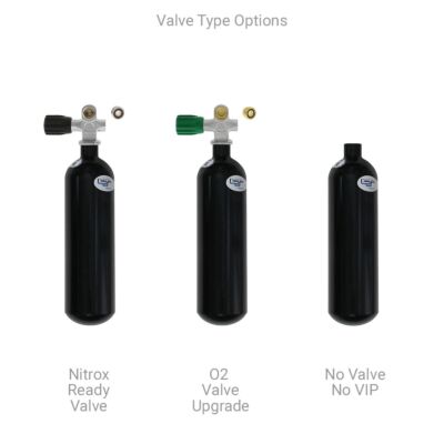 Valve Type Options