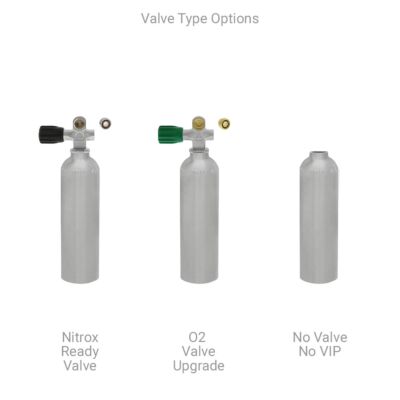 Valve Type Options