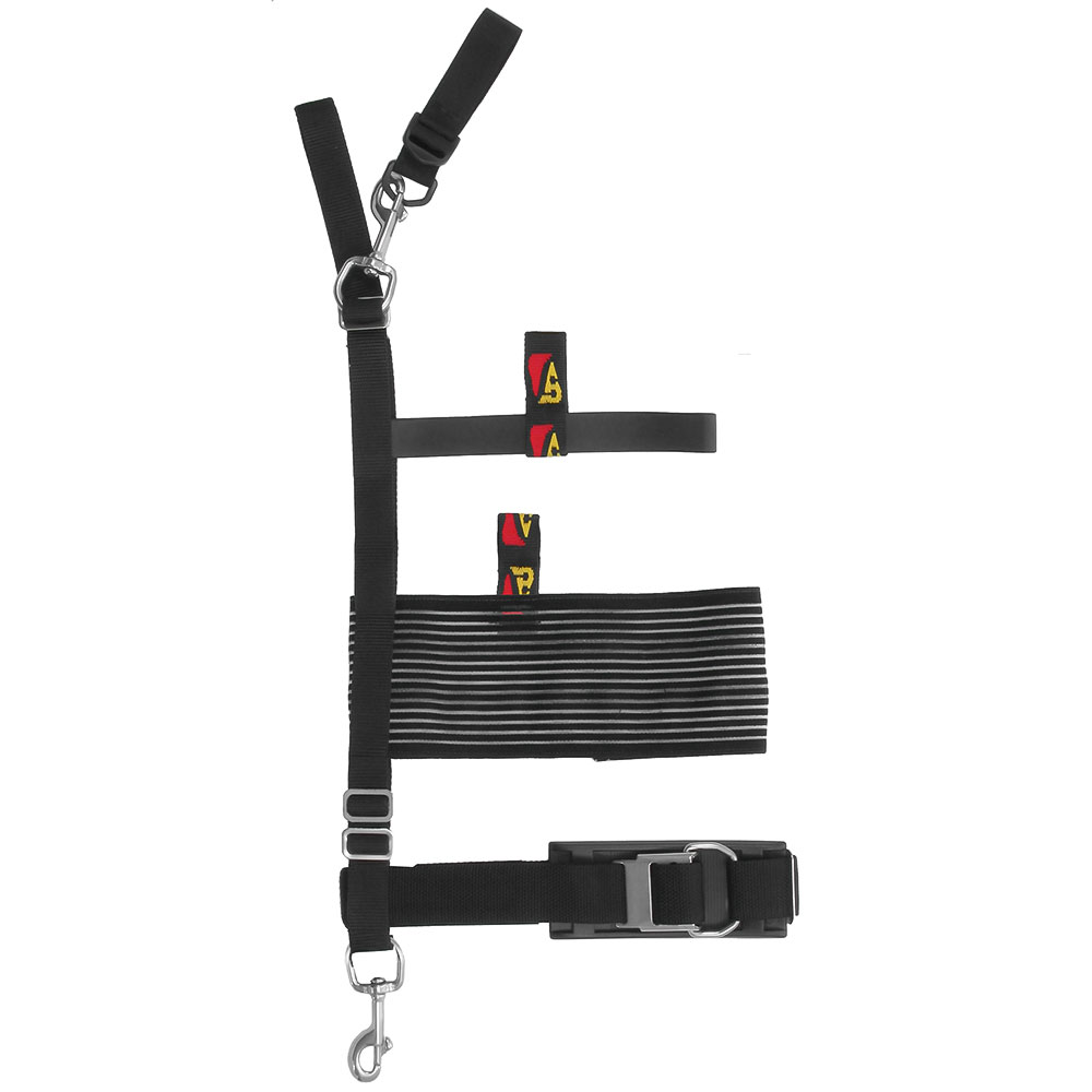 Dive Rite Tank Strap w/SS Roller Cam Buckle