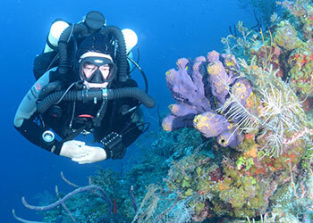 Rebreather Diver