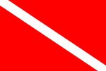 U.S. Diver Down Flag