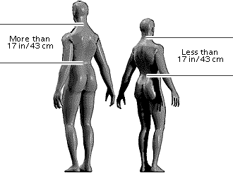 Back-of-Neck to Waist Measurements for Standard and Short Sizes